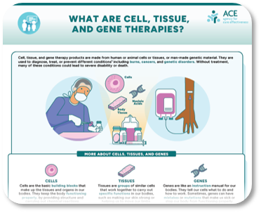 What are cell, tissue, and gene therapies?